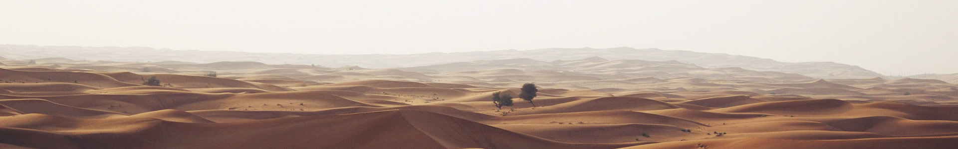 շɱƼ޹˾